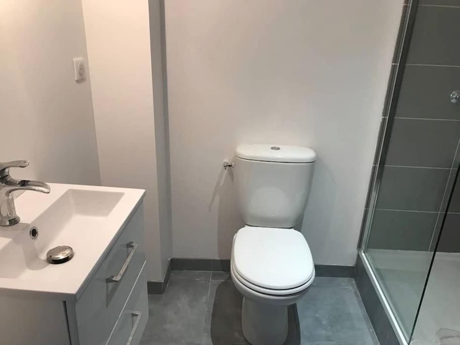 Appartement 10 Pers Face Gare Sncf Appart Hotel Le Cygne A Bourges Kültér fotó