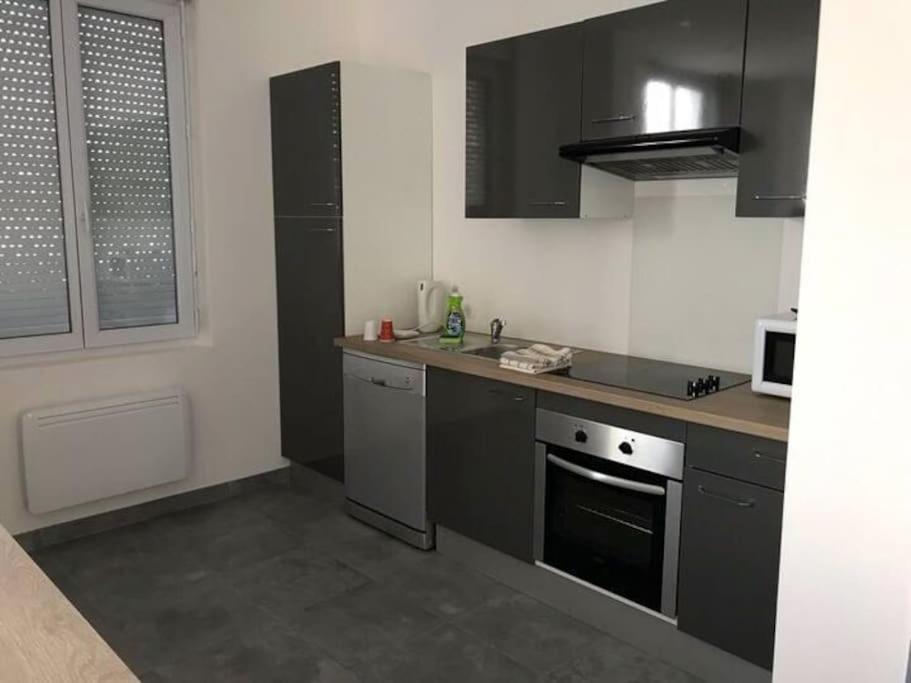 Appartement 10 Pers Face Gare Sncf Appart Hotel Le Cygne A Bourges Kültér fotó